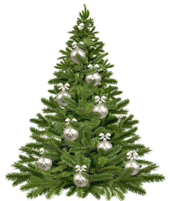 christmas-tree-1853582_640