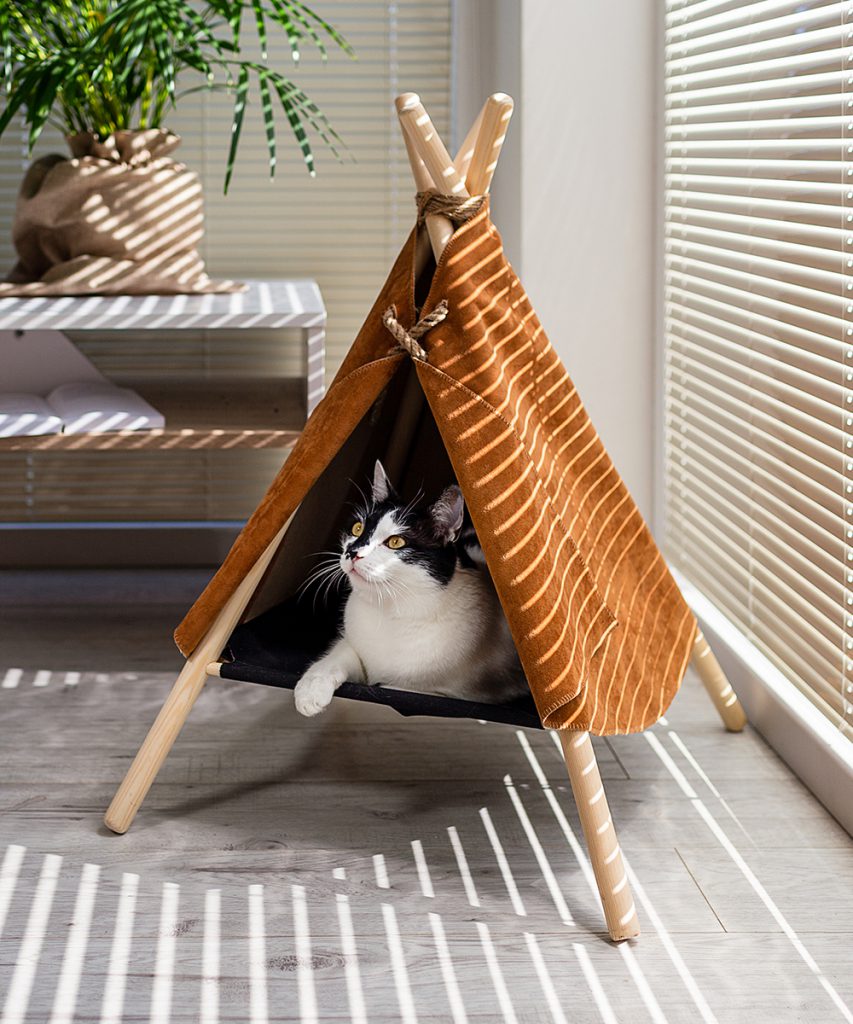 namiot dla kota sklep